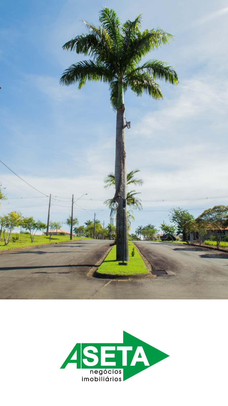 A Seta Imóveis: site institucional